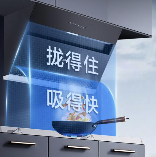海尔（Haier）烟机 CXW-219-E900C6JS 商品图2
