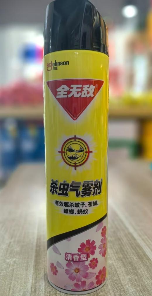 全无敌杀虫气雾剂 商品图1