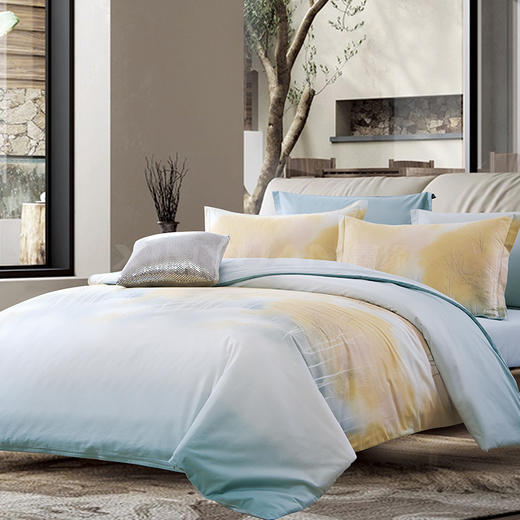 鑫缘 全棉印花四件套 DMJ1418 商品图3