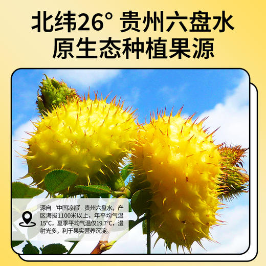 尝萃500ml盒装沙棘原浆沙棘原浆，；尝萃500ml盒装刺梨原浆、贵州的刺梨VC 商品图10