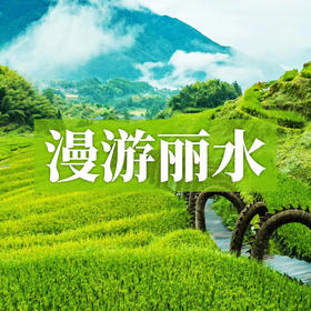 边玩边养老丨漫游丽水，遇见仙气十足的江南秘境，尽享绿林氧吧与梯田古村之美！