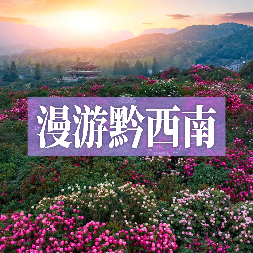边玩边养老丨漫游黔西南，罗平万亩油菜花绚烂，奇秀万峰林，毕节百里杜鹃绘就绝美画卷！