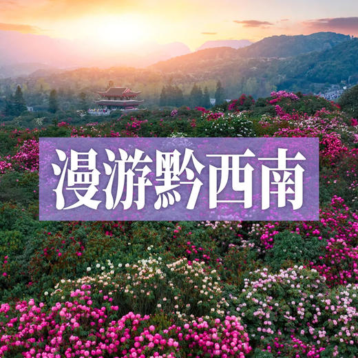 边玩边养老丨漫游黔西南，罗平万亩油菜花绚烂，奇秀万峰林，毕节百里杜鹃绘就绝美画卷！ 商品图0