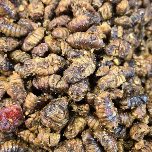 蝉蛹 约225克 商品图0