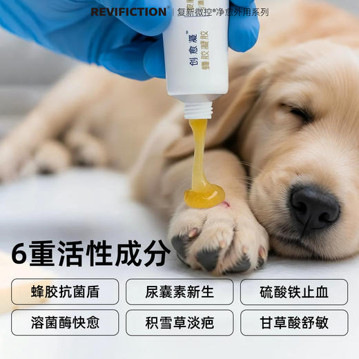 复新微控-创愈凝10克/盒宠物猫狗抑菌蜂胶凝胶消毒消炎无害温和滋润创口护理 商品图2