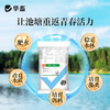 多肽肥水宝10kg 快速肥水增加溶氧改良水质提高成活减少病害 商品缩略图4