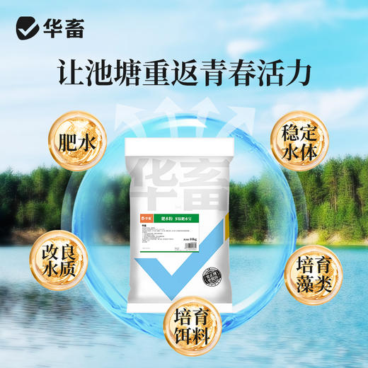 多肽肥水宝10kg 快速肥水增加溶氧改良水质提高成活减少病害 商品图4