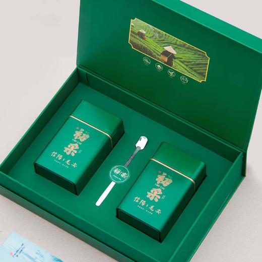 23元一套 / 一箱20套 初采新芽【信阳毛尖 双罐 深绿色】 商品图1