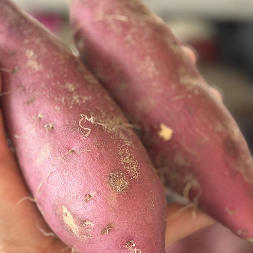 石家庄优选仓库速达，壹家良品&板栗红薯，海南澄迈富硒地瓜，紫红皮黄心软糯香甜栗香浓郁  净重5斤礼盒装 商品图5