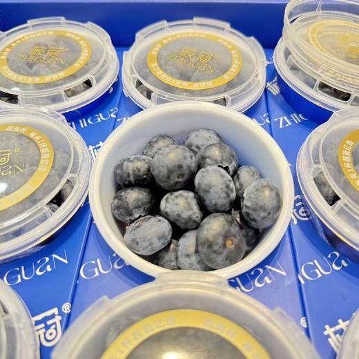 枝冠蓝莓超能杯18+(一箱9杯) 商品图0