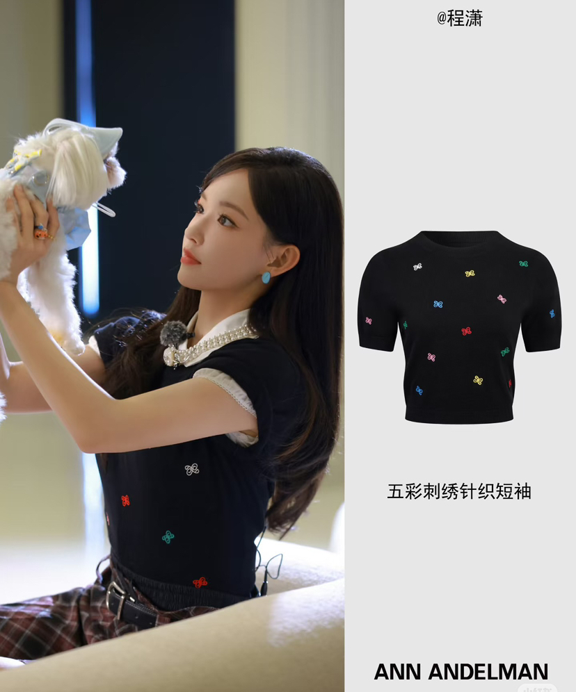 纯原程潇同款Ann Andelman五彩刺绣短袖针织衫031412