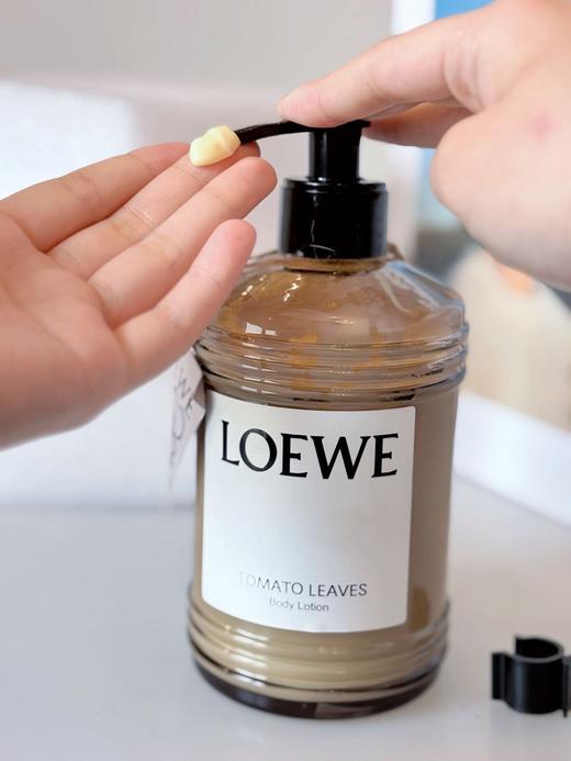 LOEWE罗意威香薰身体乳（番茄叶）360ml（有效期至2028.08）//POLA/宝丽护手乳霜100g（有效期至：2026年6月1日） 商品图2