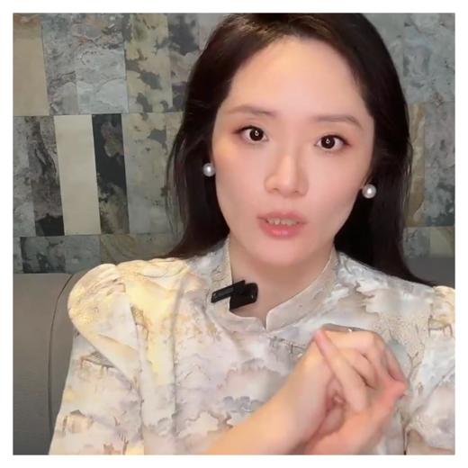 【咕咕同款】PL/PALUOPO/PL【100%桑蚕丝】立领斜襟古典印花新中式连衣裙女 ES2F0800Z帕罗 商品图1