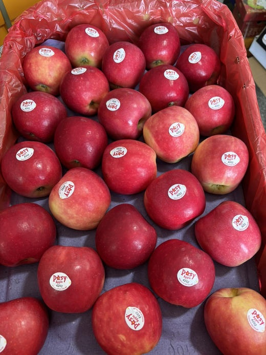 新西兰Posy苹果，比火箭筒颗粒大，比火箭筒更香甜，价格却好美啊！ 商品图2