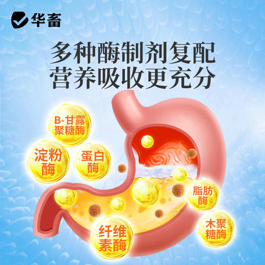 华畜 速长肽升级版 吃得多 消耗少 吸收好 长得快 体型好 更压秤 商品图13