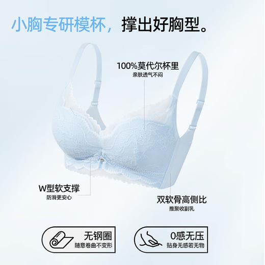 【商场同款】熳洁儿 26年新品小胸聚拢文胸中厚杯法式蕾丝26201538 商品图1