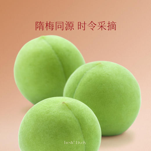 【春日序曲】「宋红2瓶礼袋装」梅之味500ml 6%vol鲜果酒独酌酒聚会酒庆功酒贺岁祝福送礼佳品 商品图2