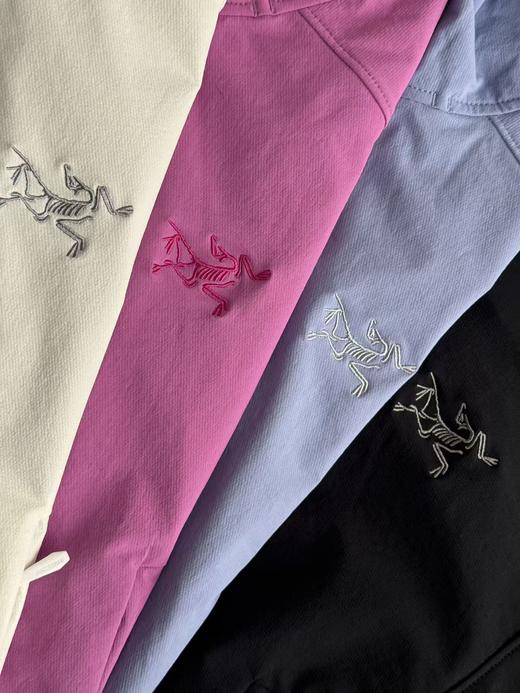 点此购买 始祖鸟GAMMA HOODY春秋季女款软壳衣 LL 342281 商品图14