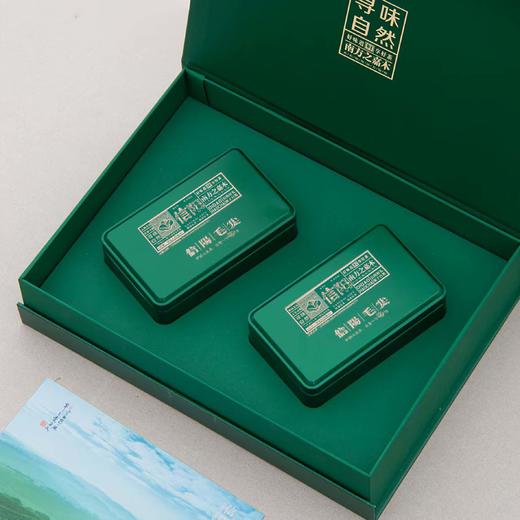 18元一套 / 一箱20套 寻味【信阳毛尖 双罐 绿色】 商品图1