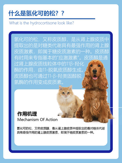复新微控 -复明 -滴眼液犬猫通用氢化可的松抗毒止痒抗炎抗敏 商品图2