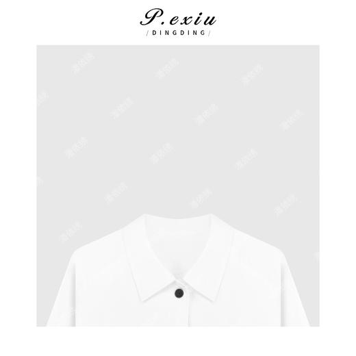  A008潘依绣丁丁宠粉极简主义排扣翻驳领百搭长款风衣 Q9913 商品图2