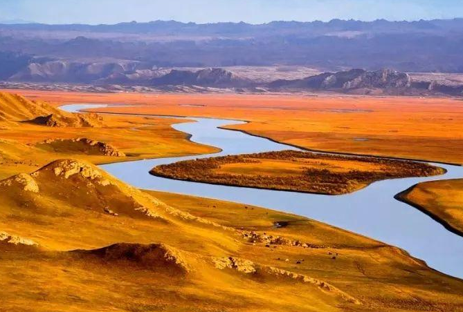 红枣书院：五年制中西医融合课程，手机电脑随时学，零基础可入【报名中】