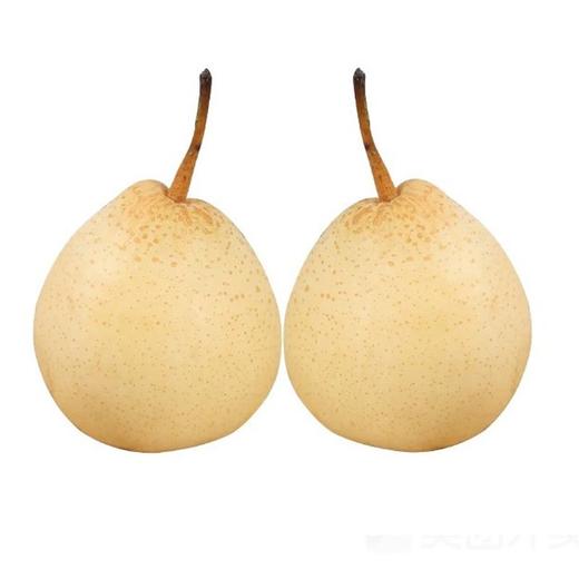 赵县雪花梨（1400±100g） 商品图1