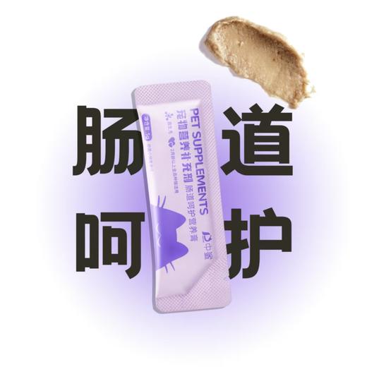 【新品试吃福利】中鲨宠物营养补充剂  5gx30袋/盒  排毛化毛 美毛护肤 营养倍护 肠道呵护  多功能 商品图11