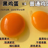 无抗黑鸡蛋 安徽 可生食60枚装/件 45/件 商品缩略图4