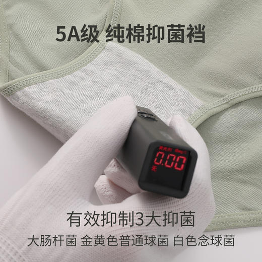 【特价49.9元10条】纯色蝴蝶结纯棉内裤 商品图6