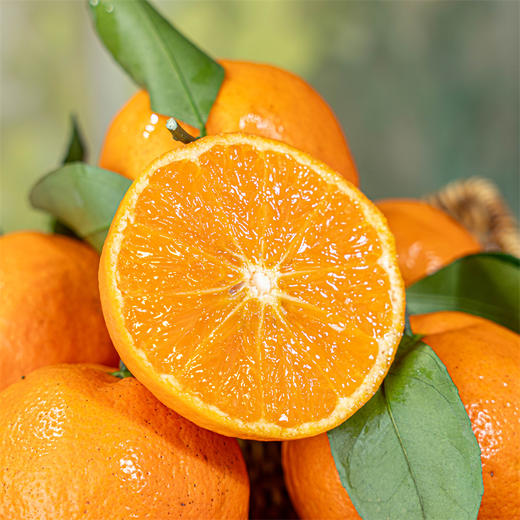 【明日见柑橘】脆嫩 甜度高 商品图4