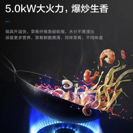 海尔（Haier）灶具 JZT-Q2BE50(12T) 商品图9