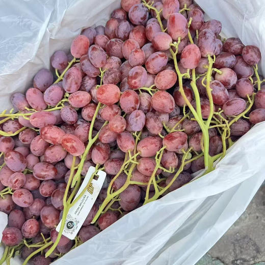 新品#澳洲棒棒糖无籽红提，真的糖果般香甜，卜卜脆，要的就是这一磕下去的爆汁鲜甜。无籽，妈妈省心，宝宝爱吃。 商品图7