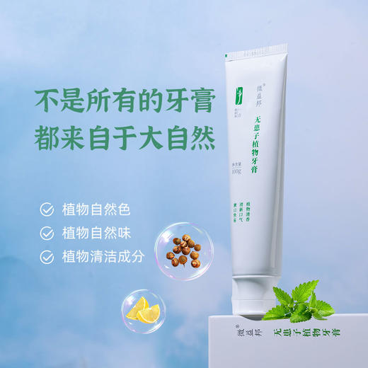 德益邦无患子植物牙膏 清新口气清洁护龈草本植物牙膏 商品图0