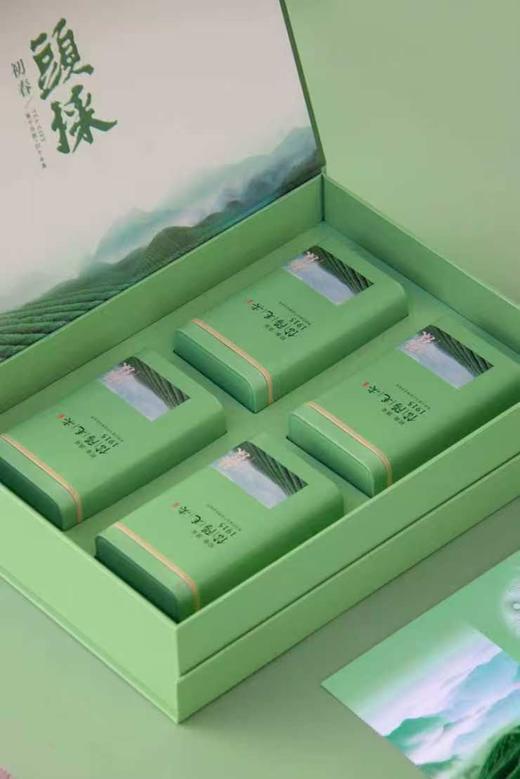 20元/套【頭採毛尖4听.绿色】整箱20套.整箱400元.整箱包邮 商品图2