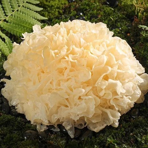 兴龙广缘68g古田银耳 商品图1