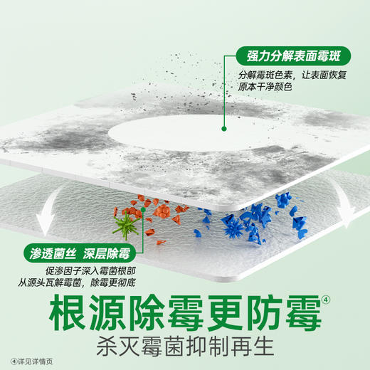 滴露除霉除菌喷雾500ml 商品图3