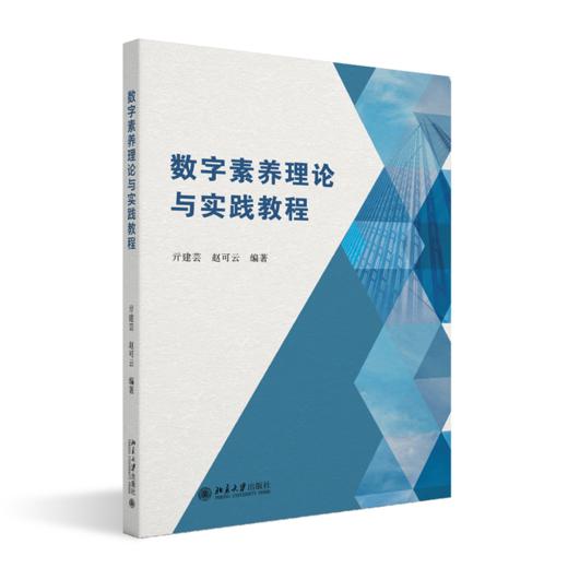 数字素养理论与实践教程 亓建芸 赵可云 编著 北京大学出版社 商品图0
