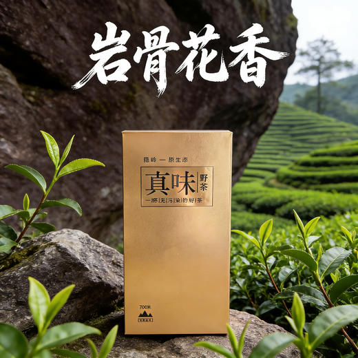 隐岭·品鉴盒·真味（两泡） 商品图2