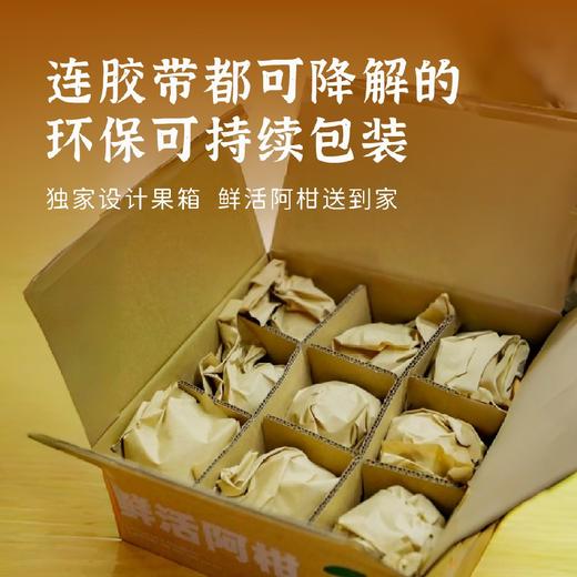 ​丑美生态耙耙柑 商品图3