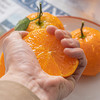 【明日见柑橘】脆嫩 甜度高 商品缩略图1