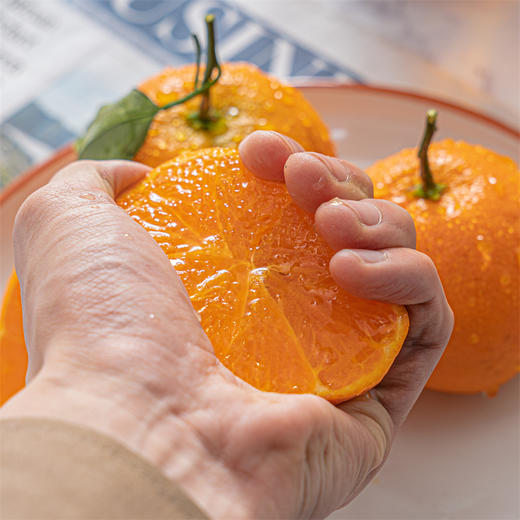 【明日见柑橘】脆嫩 甜度高 商品图1