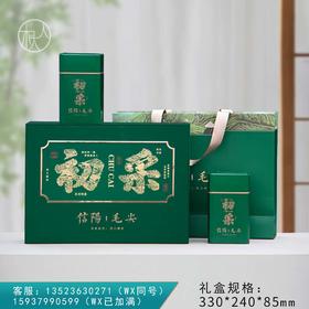23元一套 / 一箱20套 初采新芽【信阳毛尖 双罐 深绿色】