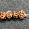 5000元/条九瓣金刚菩提手串 商品缩略图0