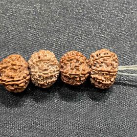 5000元/条九瓣金刚菩提手串