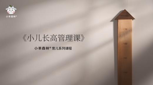 小羊森林-小儿长高课 商品图0