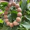 1800元/条印度老山檀手串 商品缩略图1
