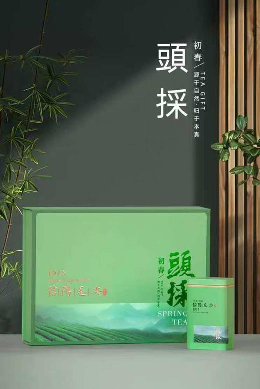 20元/套【頭採毛尖4听.绿色】整箱20套.整箱400元.整箱包邮 商品图1