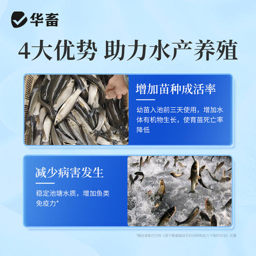 多肽肥水宝10kg 快速肥水增加溶氧改良水质提高成活减少病害 商品图3