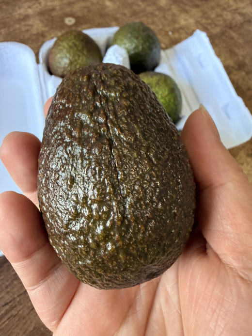 牛油果，森林乳酪，宝宝辅食，下午茶沙拉必备，稍有手感就可食用，丝滑细腻，醇香回味～ 商品图0